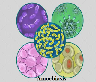 amoebiasis disease is caused by